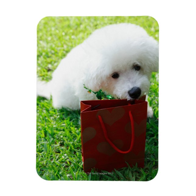 Ímã Singapura 7 (Vertical)