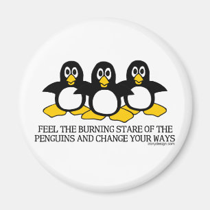 Imã Sinta o olhar fixo ardente dos pinguins