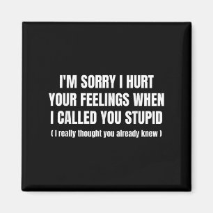 Imã Sinto Muito Por Magoar Seus Sentimentos Quando Lhe