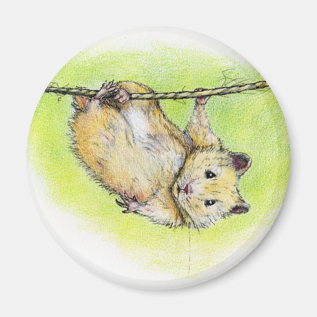 Imã Sir Ham (Frente)