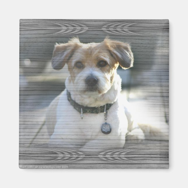 Imã Sir Henry (Frente)