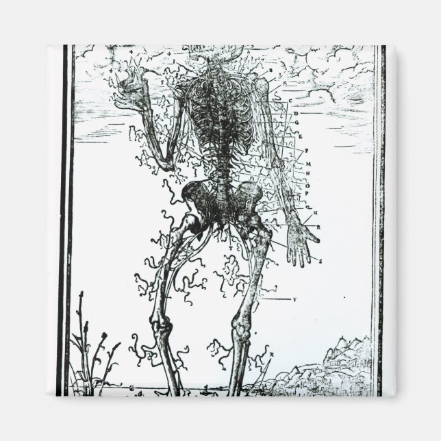 Imã Sistema Vascular do Corpo (Frente)