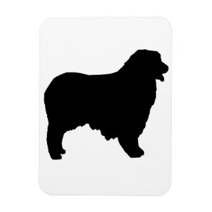 Ímã Sítio Shepherd australiano