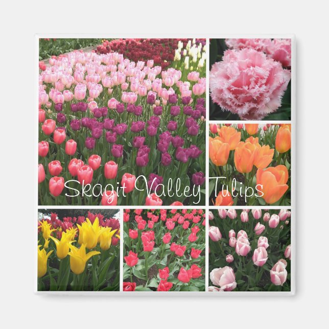 Imã Skagit Valley, Washington tulips magnet (Frente)