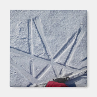 Imã Ski Star Magnet