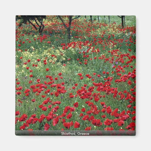 Imã Skiathos, Grécia (Frente)