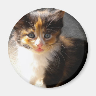 Imã Skittles Magnet