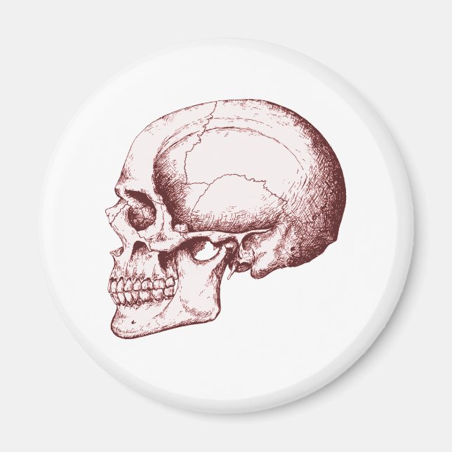 Imã Skull Sid eRed (Frente)