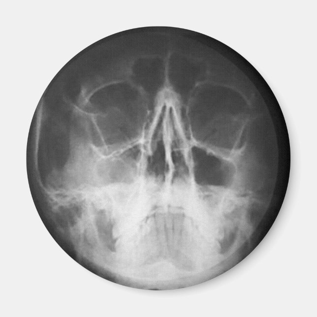 Imã Skully Top Divertido (Frente)