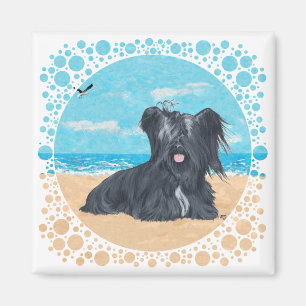 Imã Skye Terrier na Praia