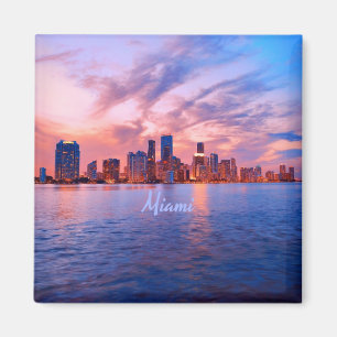 Imã Skyline City da Flórida de Miami