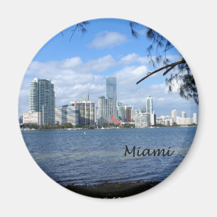 Imã Skyline de Miami