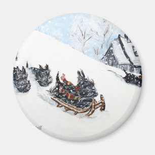Imã Sledding escocês dos terrier
