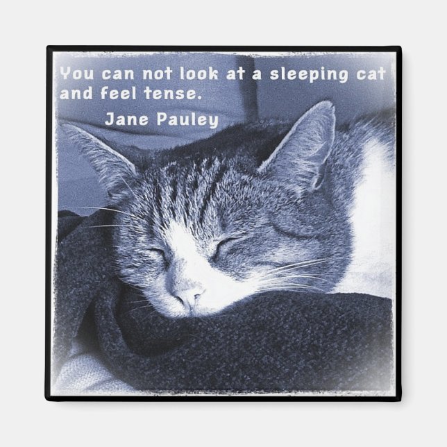 Imã Sleeping cat (Frente)