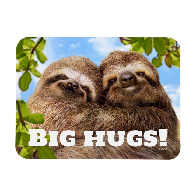 Ímã Sloth Couple (Horizontal)