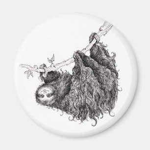 Imã slothy