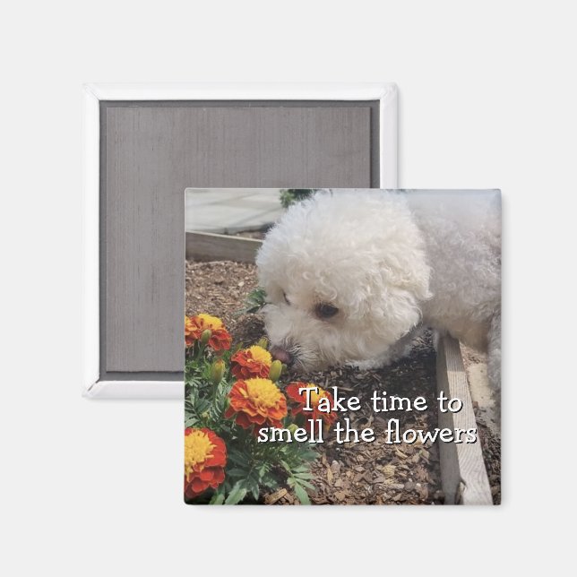 Imã Smell the Flowers (Front/Back)
