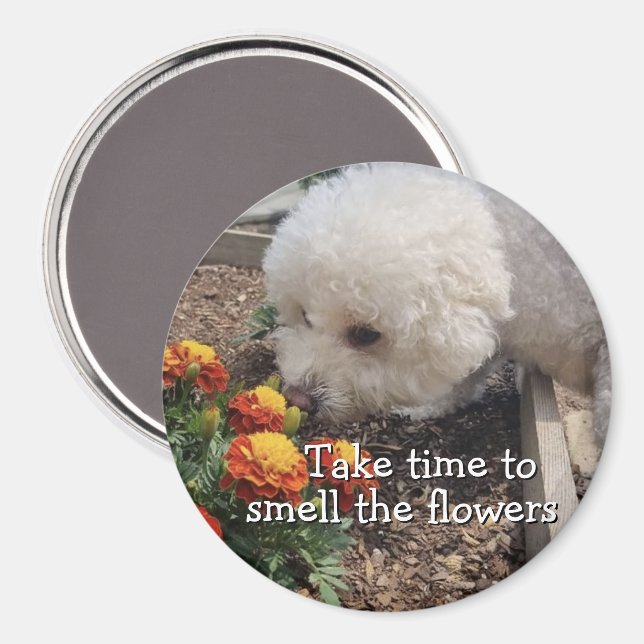 Imã Smell the Flowers (Front/Back)