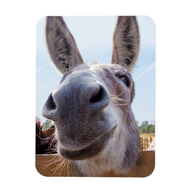 Ímã Smiling Donkey Magnet (Vertical)