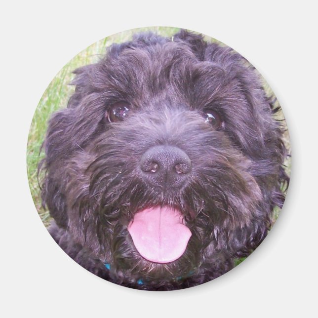 Imã Smiling Puppy (Frente)