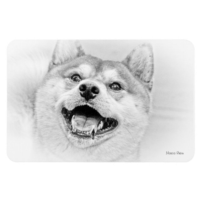 Ímã Smiling Shiba Inu cão (Horizontal)
