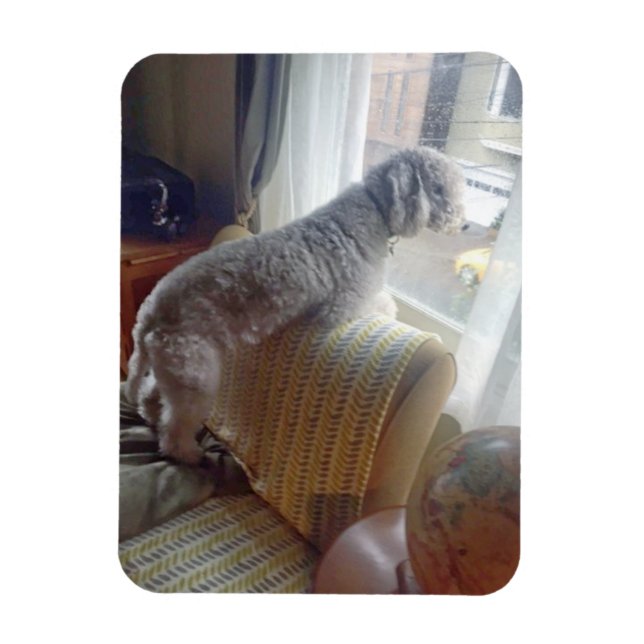 Ímã Smokey (Vertical)