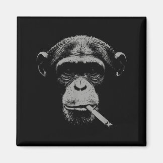 Imã Smoking meme monkey for men women monkey smokingSm