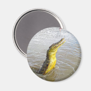 Imã Snappers Assustadores: O Salto do Crocodilo,