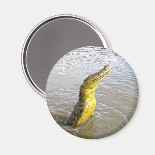 Imã Snappers Assustadores: O Salto do Crocodilo, (Front/Back)