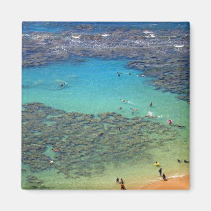 Imã Snorklers na baía de Hanauma, Oahu, Havaí