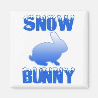 Imã Snow Bunny
