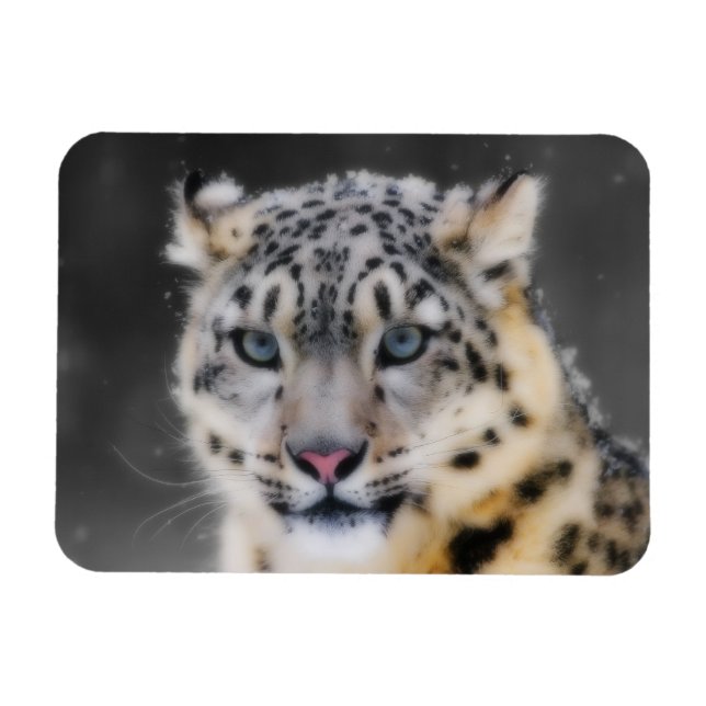 Ímã Snow Lepard (Horizontal)