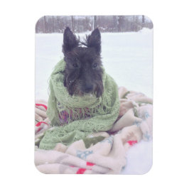Ímã Snow Scottie