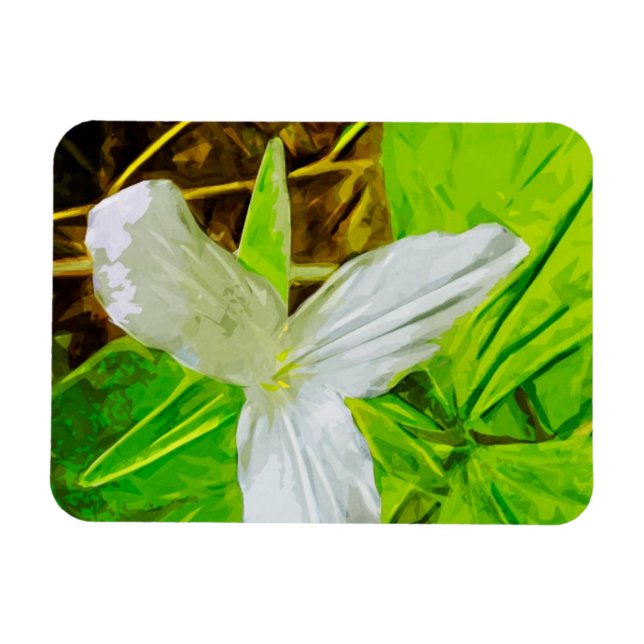 Ímã Snow Trillium a White Wilflower Abstrato (Horizontal)