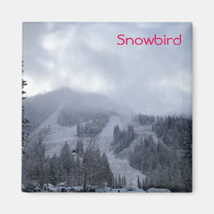 Imã Snowbird