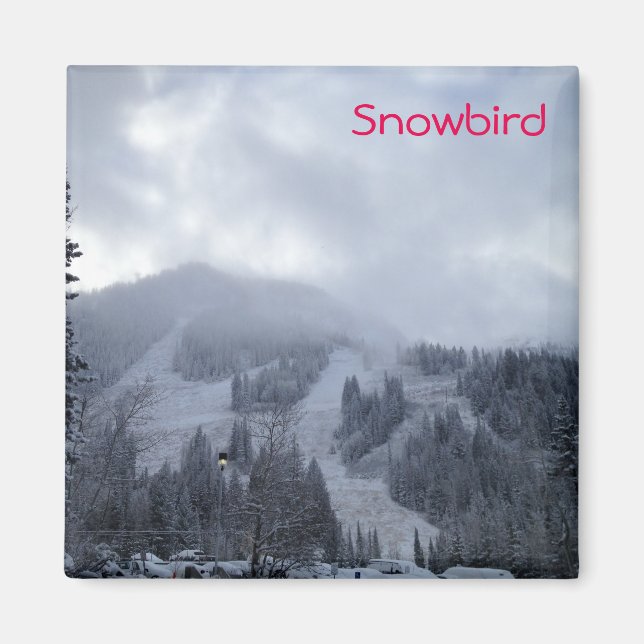 Imã Snowbird (Frente)