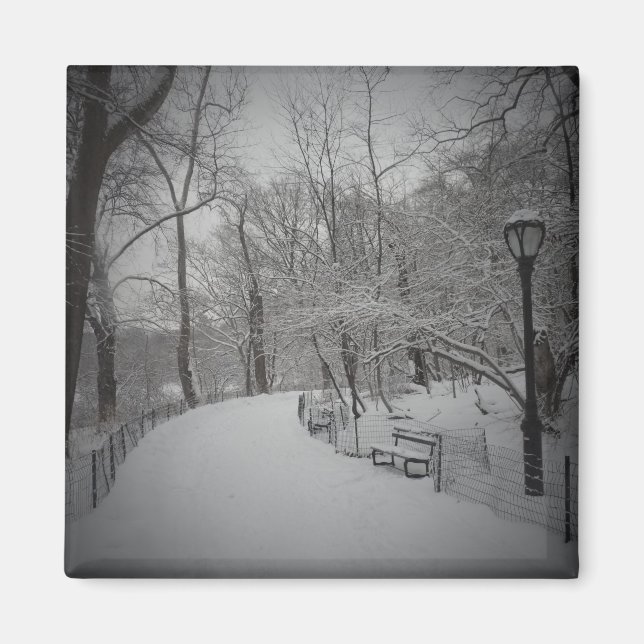 Imã Snowstorm, Central Park, Nova Iorque (Frente)