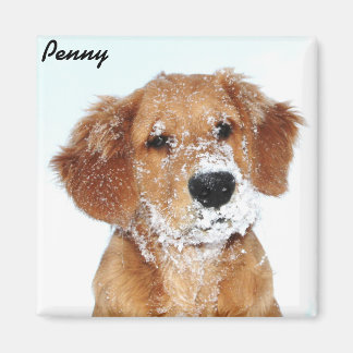 Imã Snowy encarou Penny Magnet