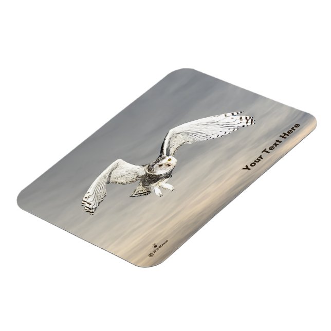 Ímã Snowy Owl (Left Side)