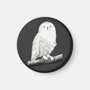 Imã Snowy Owl