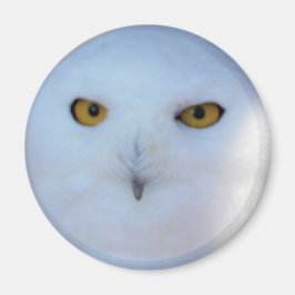 Imã Snowy Owl