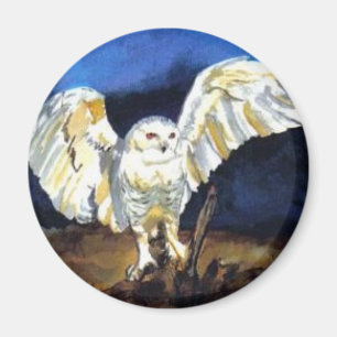Imã Snowy Owl por Paula Atwell