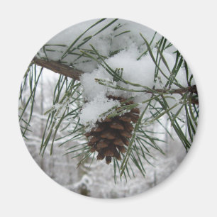 Imã Snowy Pine Branch Winter Nature Fotografia