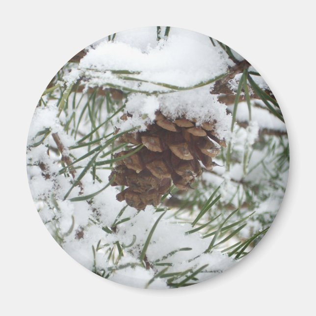 Imã Snowy Pine Cone I Winter Nature Photoshop (Frente)