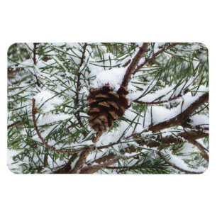 Ímã Snowy Pine Cone II Fotografia de inverno