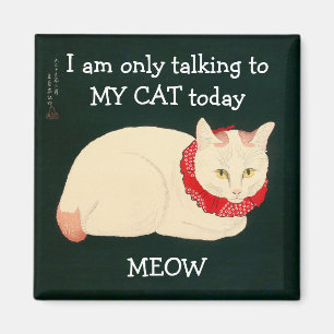 Imã Só estou falando com MY CAT hoje