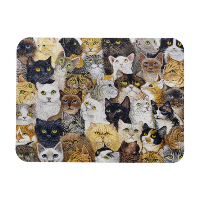 Ímã Só o Sussurro do Gato (Horizontal)