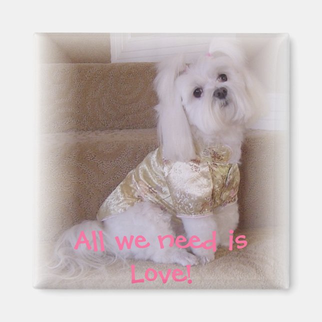 Imã Só precisamos de amor! (Frente)