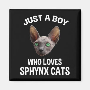 Imã Só Um Rapaz Que Adora Gatos De Sphynx