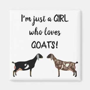 Imã Só uma garota que ama cabras - Nubian Dairy Goat